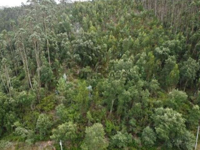 Terreno venda em Pombal, São Simão De Litém
