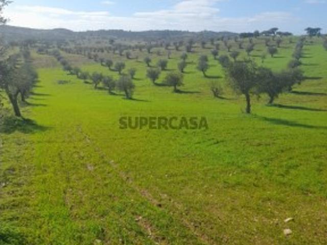 Terreno venda em Aldeia das Pias, Santiago Maior