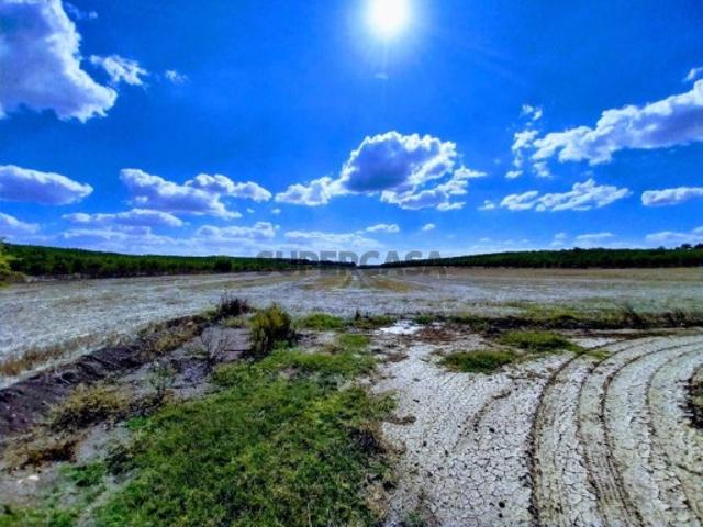Terreno venda em Beja (Santiago Maior e São João Baptista), Beja