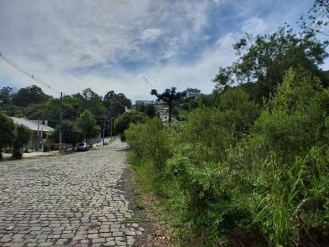Terreno venda em Região Geográfica Imediata de Bento Gonçalves, Bento Gonçalves