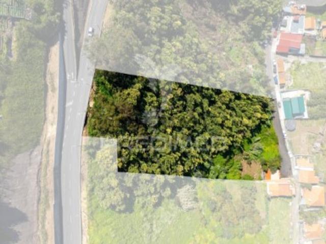 Terreno venda em Funchal, Ilha Da Madeira