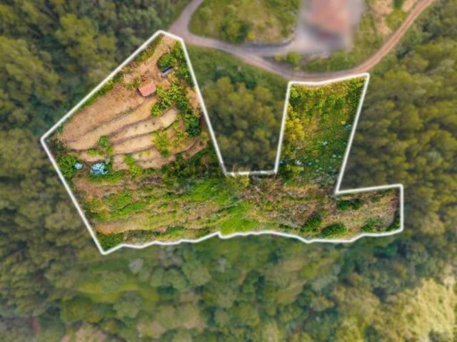 Terreno venda em Santa Cruz, Ilha Da Madeira