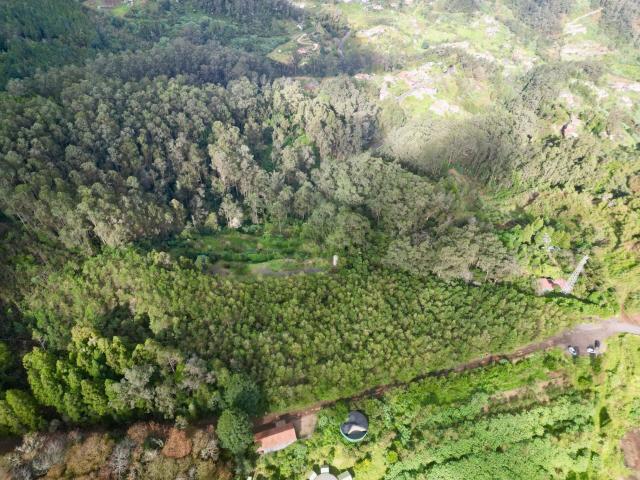 Terreno venda em Santa Cruz, Ilha Da Madeira