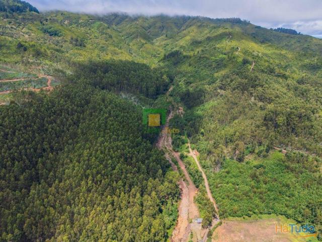Terreno venda em Santa Cruz, Ilha Da Madeira
