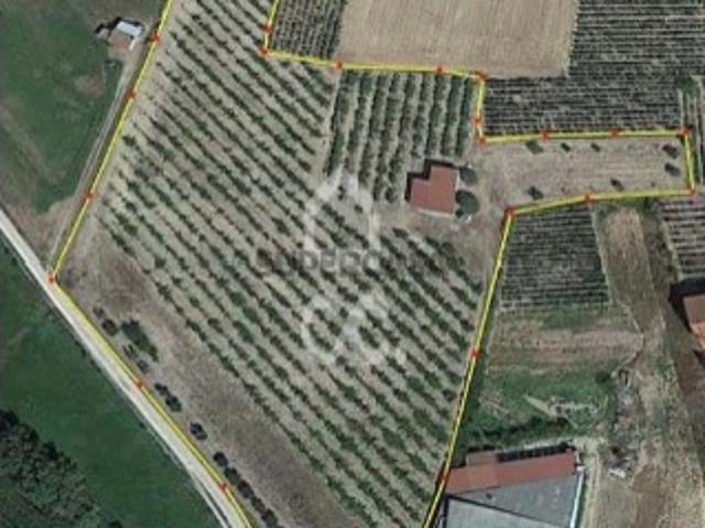 Terreno venda em Chaves, Vila Real