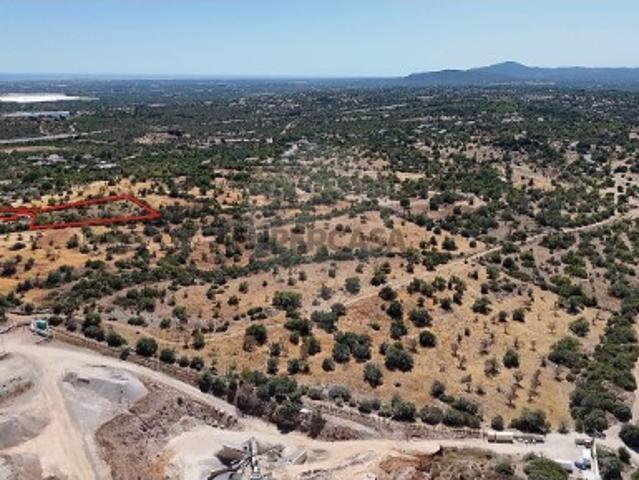 Terreno venda em Prego, Tavira