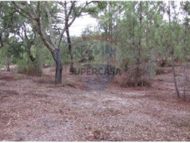 Terreno venda em Herdade do Zambujeiro, Benavente