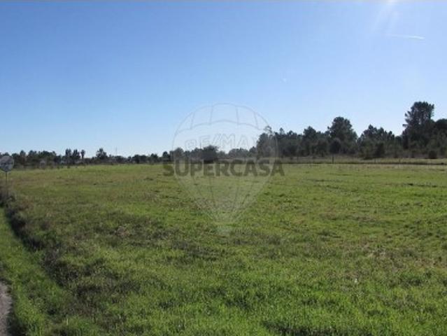 Terreno venda em Benavente, Santarém