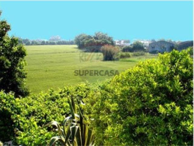 Terreno venda em Herdade do Zambujeiro, Benavente