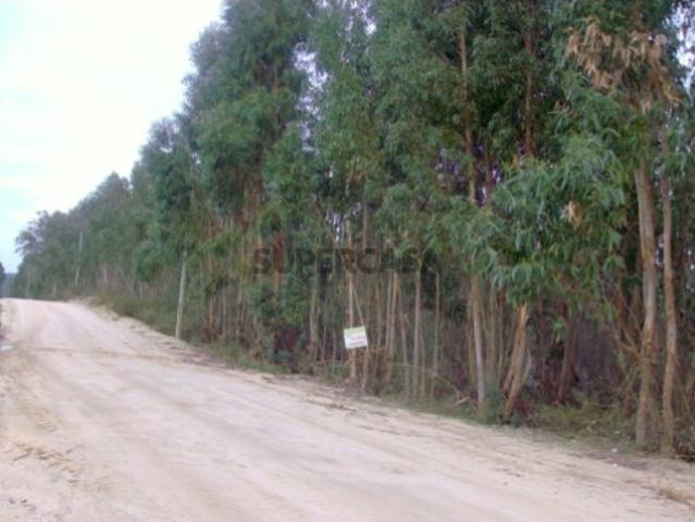 Terreno venda em Benavente, Santarém