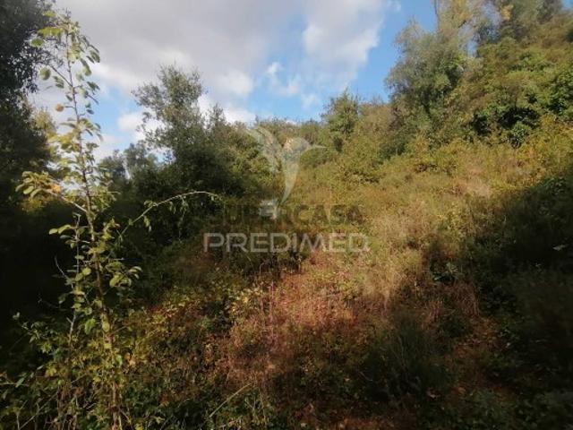 Terreno venda em Sobral, Lisboa