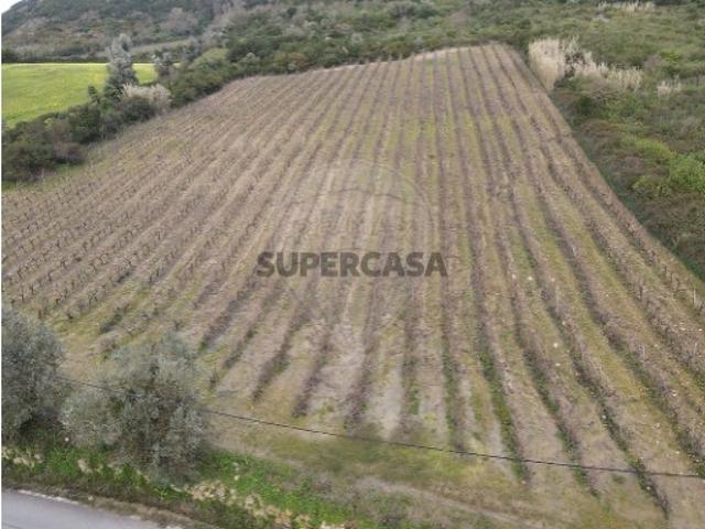 Terreno venda em Sobral, Lisboa
