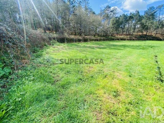 Terreno venda em Vila Nova De Cerveira, Viana Do Castelo