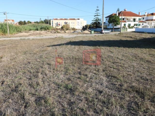 Terreno venda em Broega, Montijo