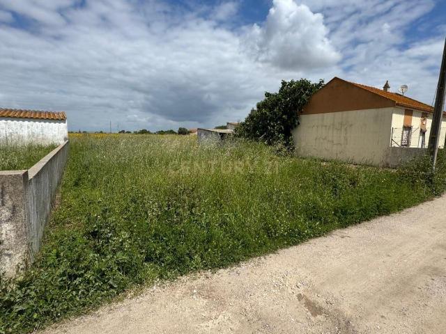 Terreno venda em Arce, Montijo