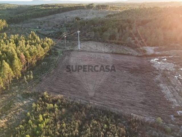 Terreno venda em Sarnadas de Ródão, Vila Velha de Ródão