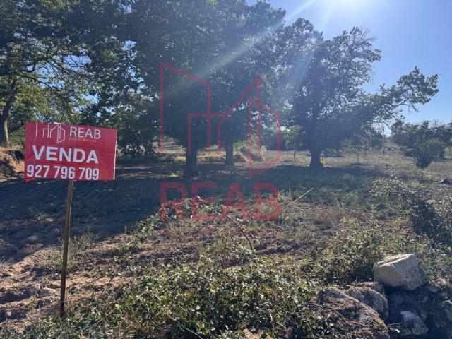 Terreno venda em Sernancelhe, Sernancelhe e Sarzeda