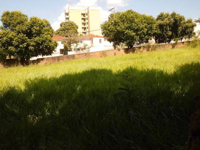 Terreno aluguel em Região Imediata de Araçatuba, Araçatuba