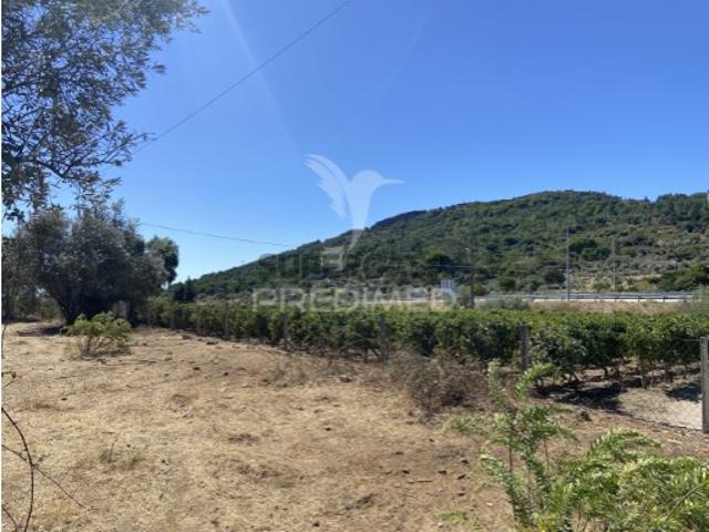 Terreno venda em Portalegre