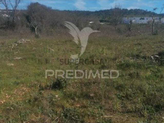 Terreno venda em Portalegre, Sé Terreno venda em Portalegre, Sé
