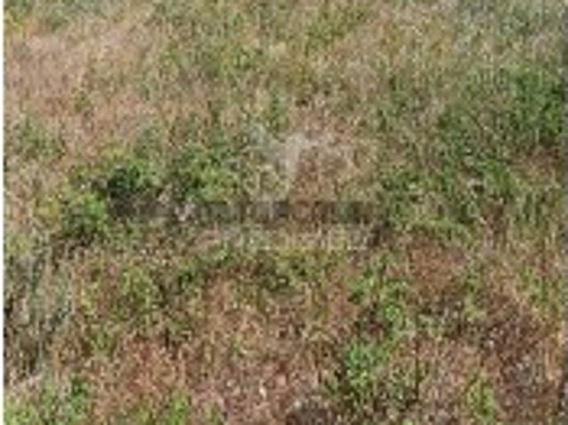 Terreno venda em Portalegre, Sé Terreno venda em Portalegre, Sé