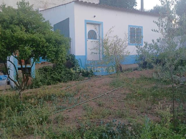 Terreno venda em Alter Do Chão, Portalegre