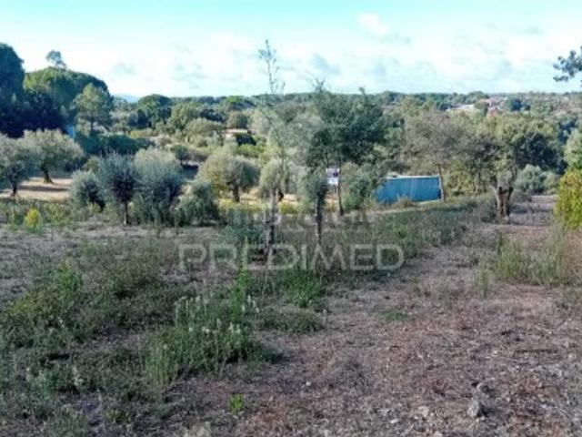 Terreno venda em Ourém, Santarém