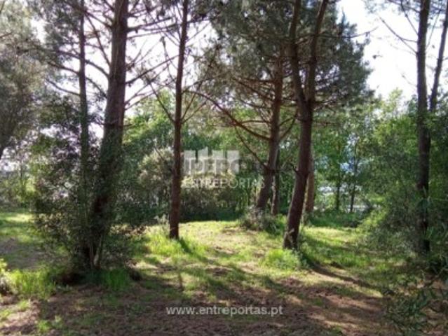 Terreno venda em Caminha, Seixas Terreno venda em Caminha, Seixas
