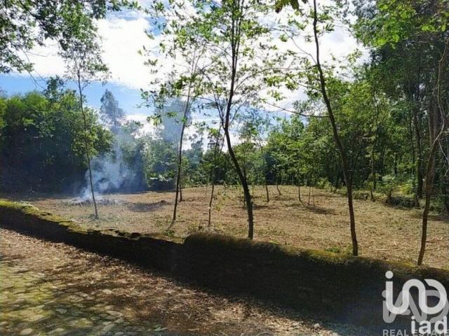 Terreno venda em Arga De Baixo, Viana Do Castelo