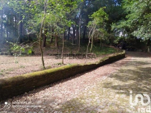 Terreno venda em Arga De Baixo, Viana Do Castelo