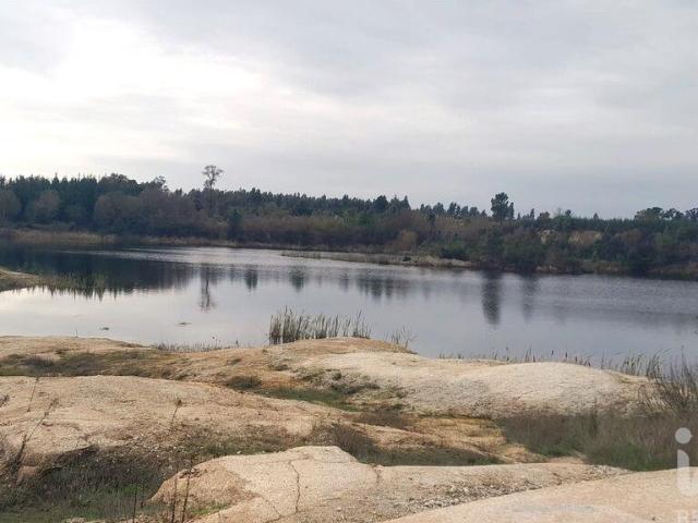 Terreno venda em Felgueira Velha, Seixo Da Beira