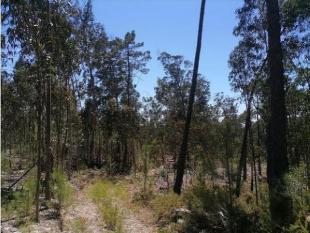 Terreno venda em Seixo de Gatões, Montemor-o-Velho