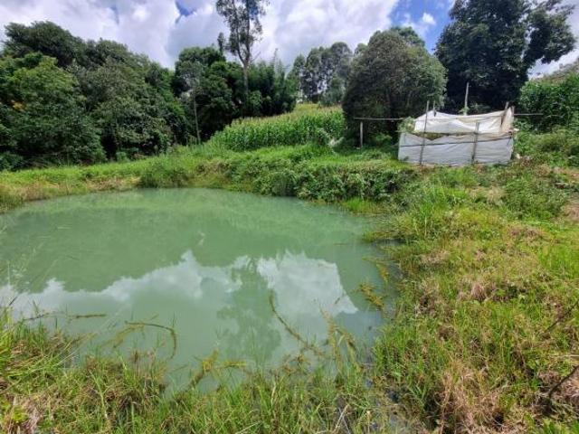 Terreno venda em Região Geográfica Imediata de Pouso Alegre, Senador Amaral