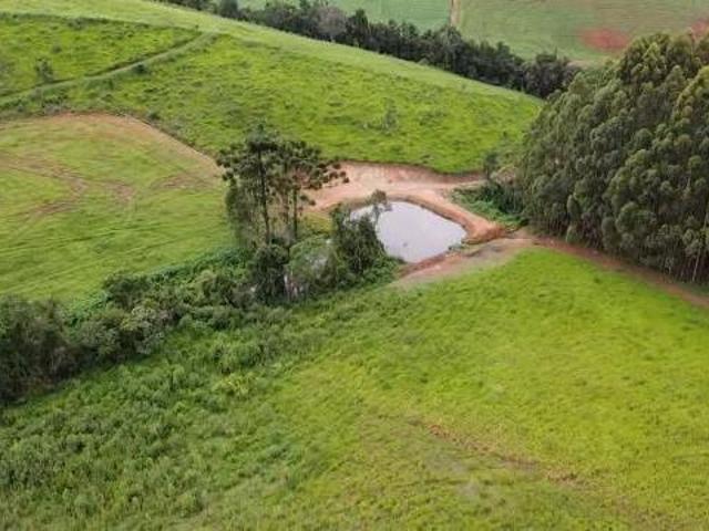 Terreno venda em Região Geográfica Imediata de Pouso Alegre, Senador Amaral