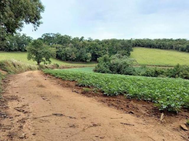 Terreno venda em Região Geográfica Imediata de Pouso Alegre, Senador Amaral