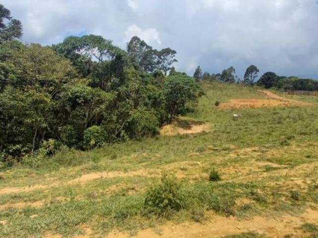 Terreno venda em Região Geográfica Imediata de Pouso Alegre, Senador Amaral