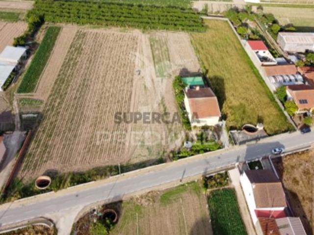 Terreno venda em Chão de Baixo, Cantanhede