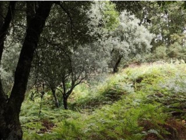 Terreno venda em Boalhosa, Viana Do Castelo