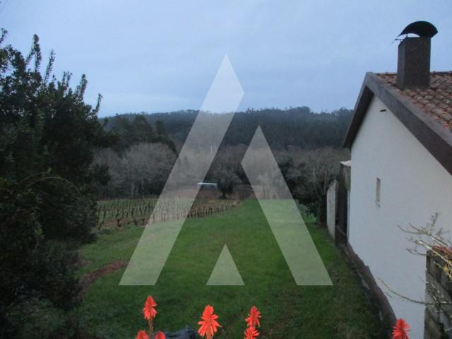 Terreno venda em Águeda, Aveiro