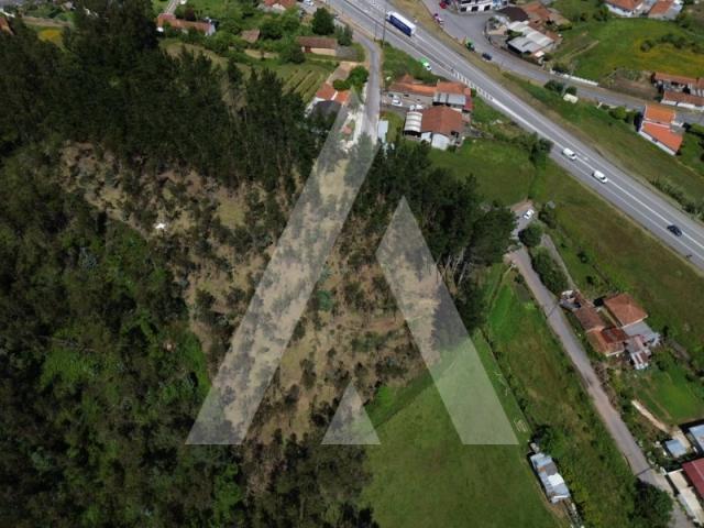 Terreno venda em Águeda, Aveiro