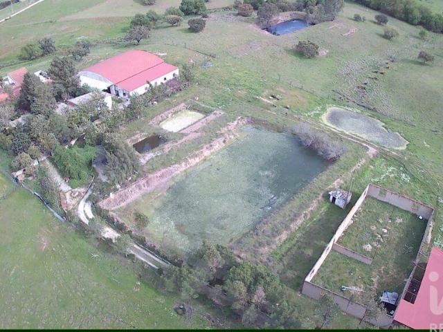 Terreno venda em Vila Verde de Ficalho, Serpa