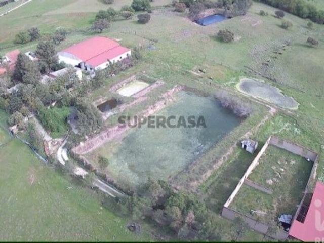 Terreno venda em Serpa (Salvador e Santa Maria), Serpa