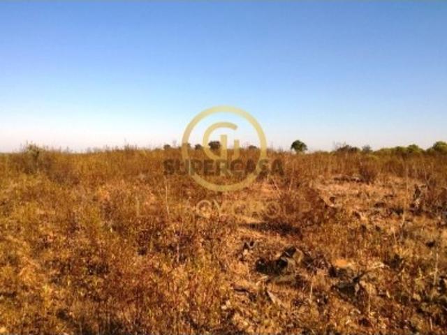 Terreno venda em Serpa (Salvador e Santa Maria), Serpa