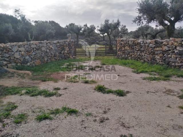 Terreno venda em Alcanena, Santarém