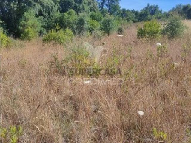 Terreno venda em Tomar, Outeiro Terreno venda em Tomar, Outeiro