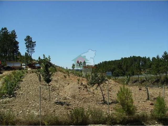 Terreno venda em Castelo Branco, Cumeada