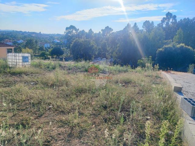 Terreno venda em Castelo Branco, Cumeada
