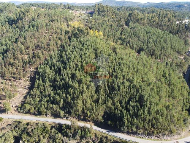 Terreno venda em Castelo Branco, Cumeada