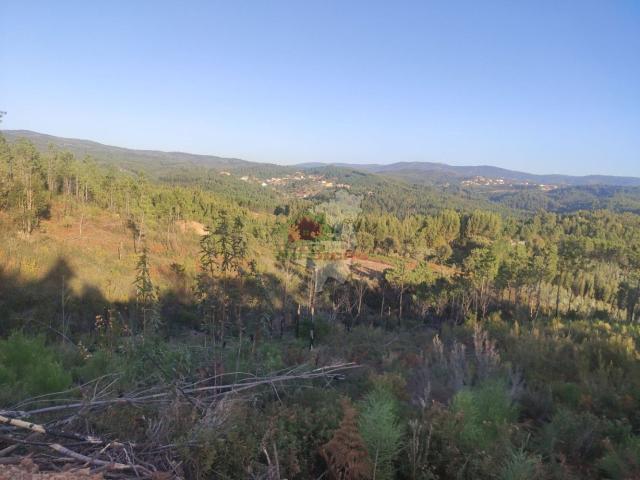 Terreno venda em Castelo Branco, Cumeada