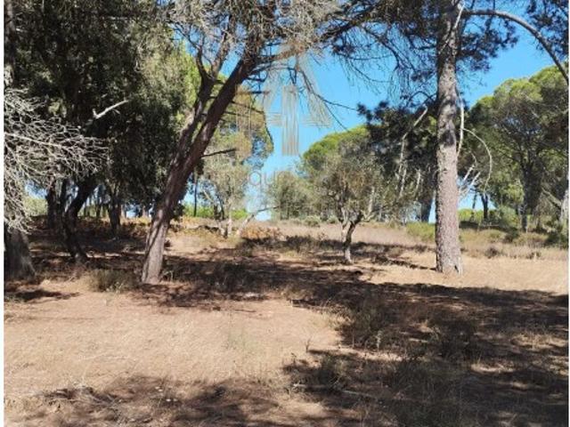Terreno venda em Sesimbra (Castelo), Sesimbra